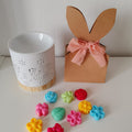 wax melts primavera + quemador fantasy - flower power 🌷🌺